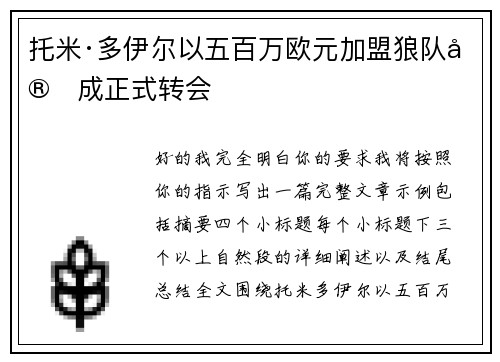托米·多伊尔以五百万欧元加盟狼队完成正式转会
